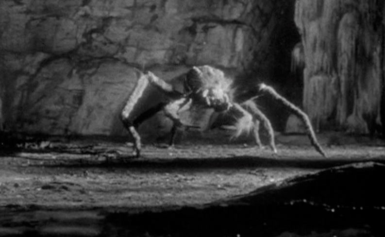 BLACK-SCORPION-SPIDER.png