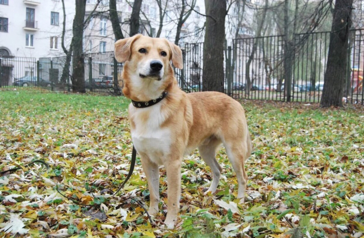 EE760807-E83E-462B-AA6C-8A438277861A