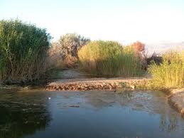 ΕΠΙΤΡΟΠΗ ΥΠΕΡΑΣΠΙΣΗΣ ΑΜΑΝΗΣ: Ο ΜΑΛΑΓΚΙΩΤΗΣ ΔΕΝ ΧΡΕΙΑΖΕΤΑΙ “ΕΡΓΑ ΒΙΤΡΙΝΑΣ” ΑΛΛΑ ΟΛΟΚΛΗΡΩΜΕΝΗ ΠΡΟΣΤΑΣΙΑ