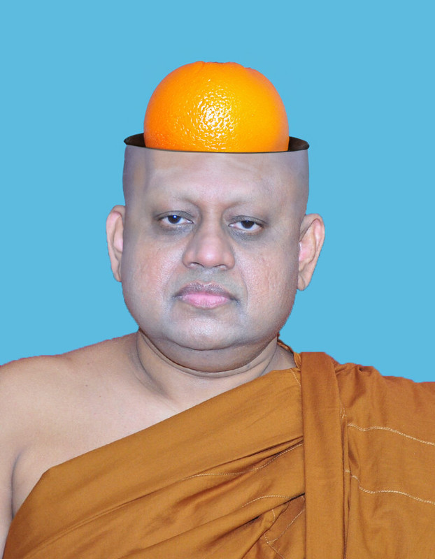 Ven-Dodampahala-Sri-Rahula-Thero-796x1024.jpg