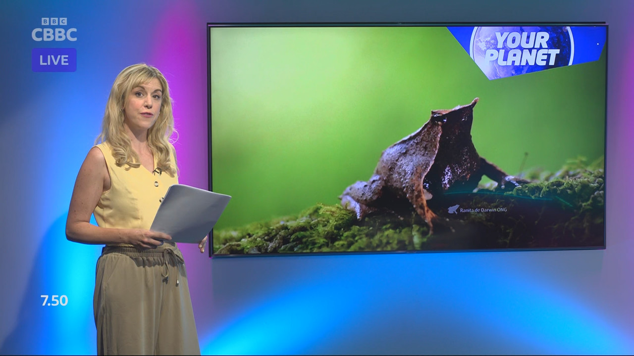 Newsround_20250806_07450755.ts_snapshot_10.51.989