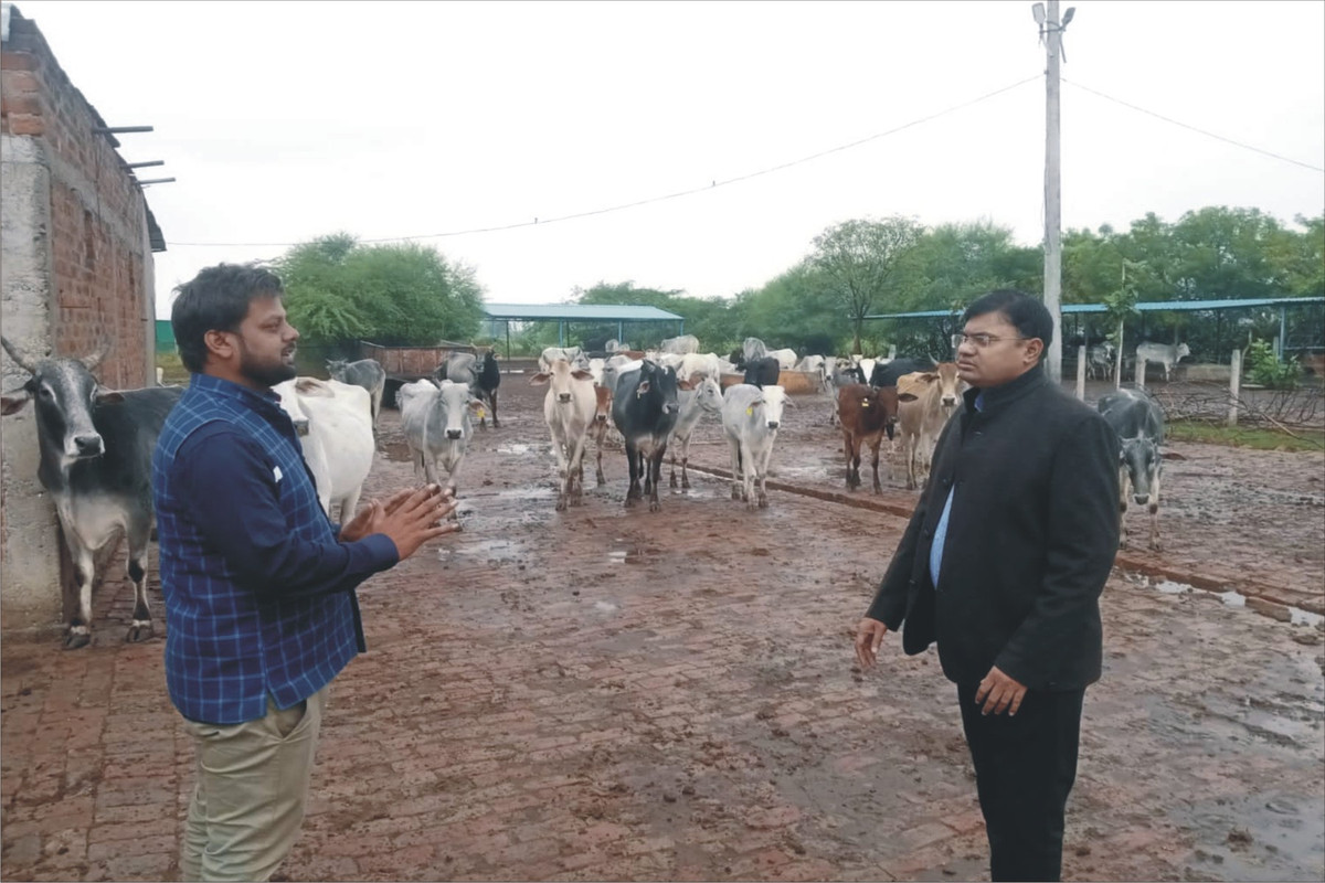 सर्दी व बर्षात से गायो को बचाने के लिये जिलाधिकारी ने अधीनस्थो को दिये निर्देश |