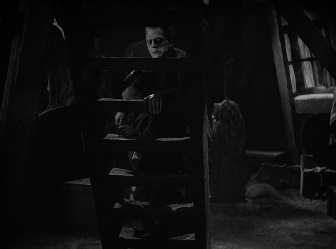 FRANKENSTEIN.mkv_snapshot_01.04.30.685