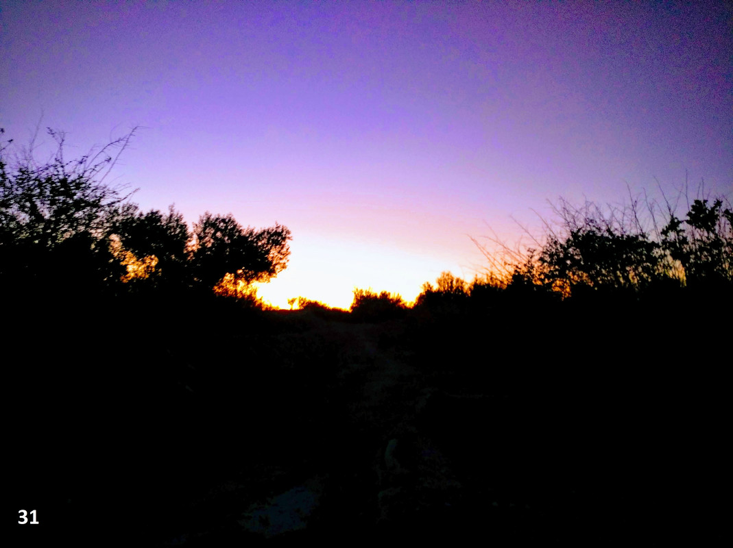 31 sunset