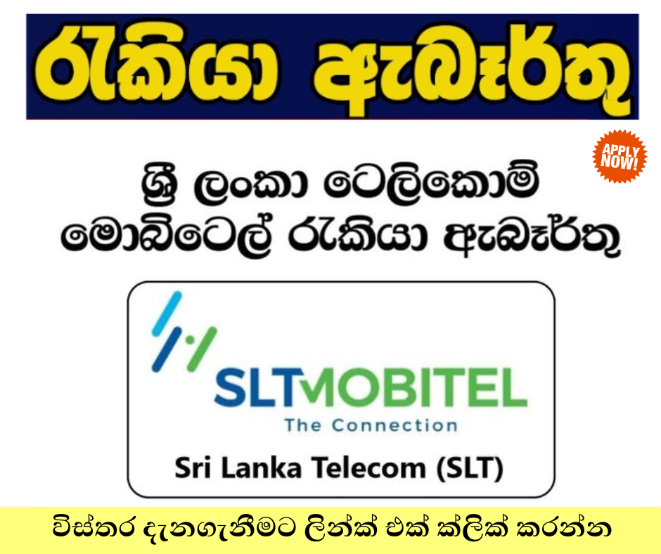 SLT Research Executive Position