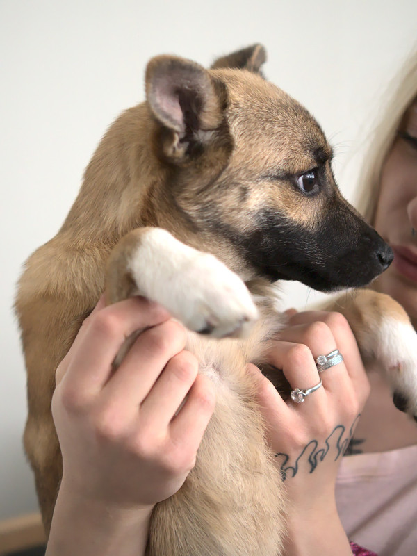 4100B560-5444-4103-90E5-EE42D6CE3ECB