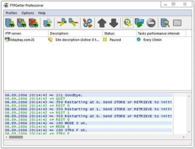 FTPGetter Professional 5.97.0.185 Multilingual