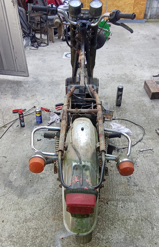 IMG_20241001_125801 (copy)