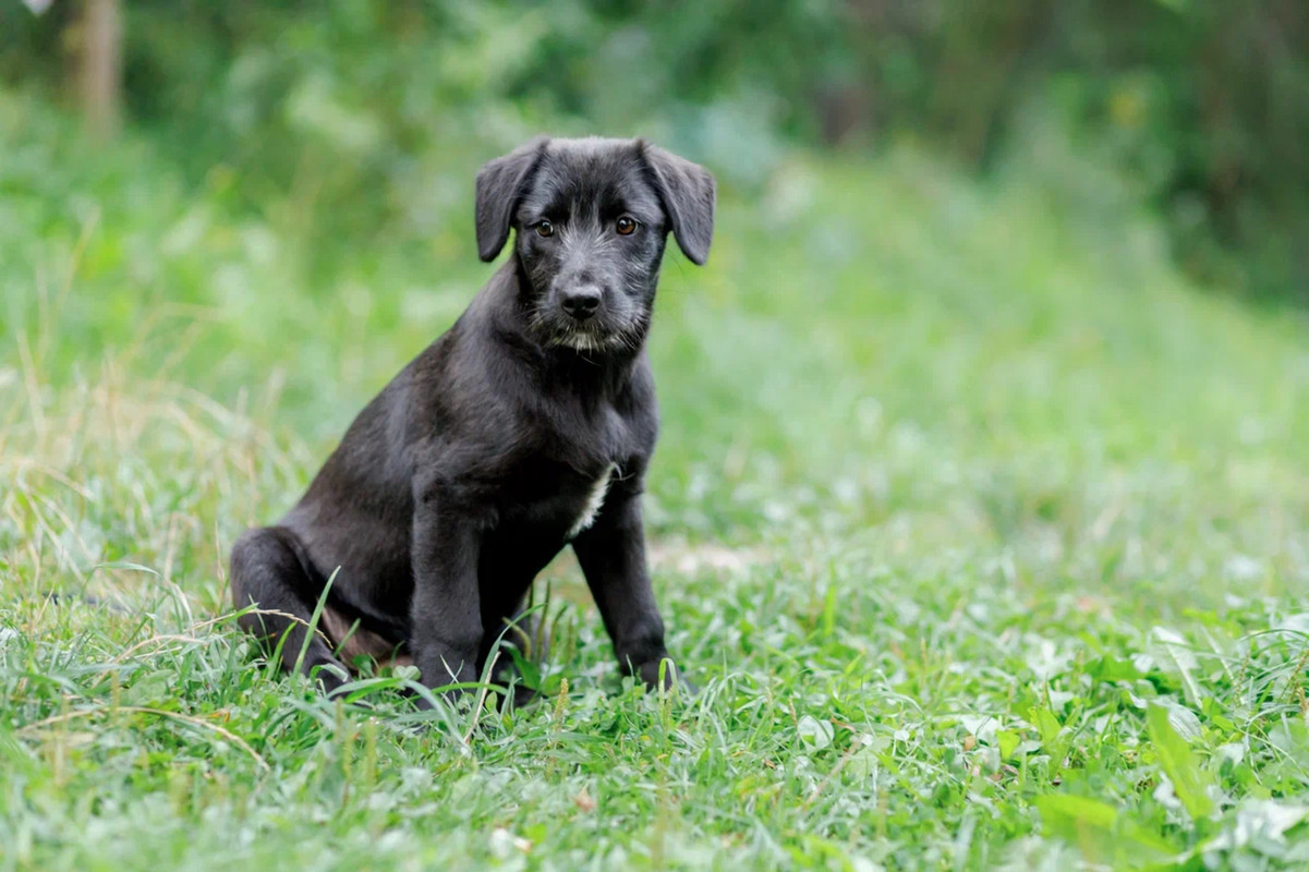 resize-image-online.com_6jpg_8hAR4pxG