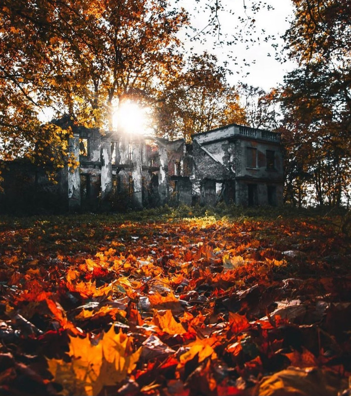 Screenshot_20231208_220854_Instagram