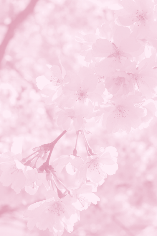 Spring25_4