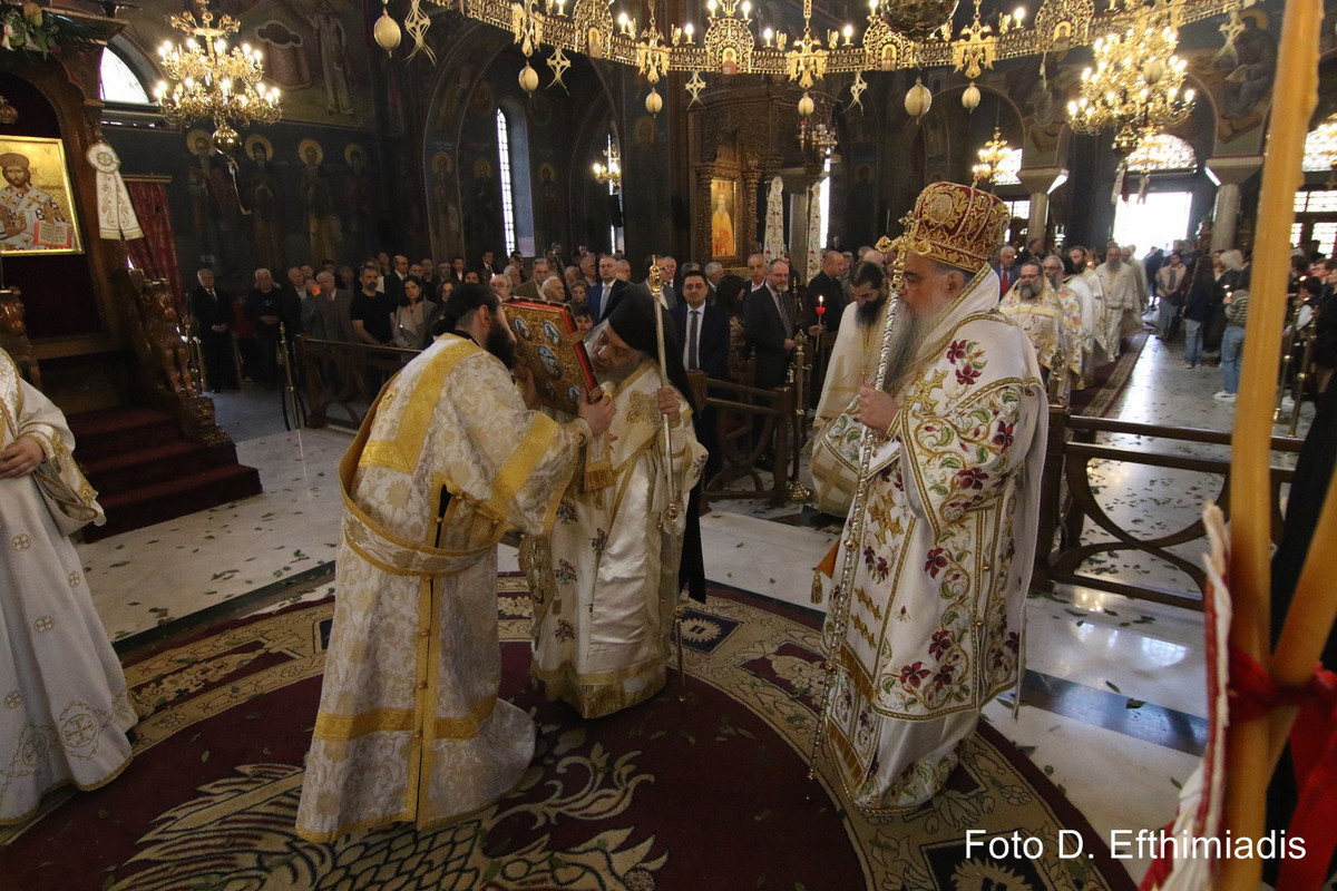 IMGL3610 (Αντιγραφή)