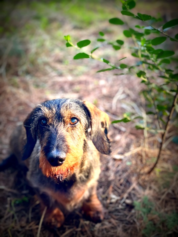 [Image: IMG-2213.jpg]