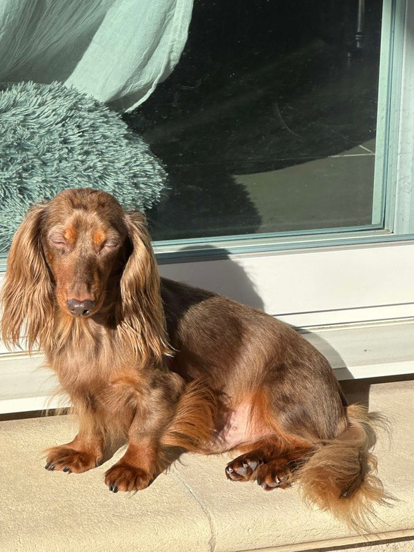 [Image: 462566327-1076188834045730-5272468587042803218-n.jpg]