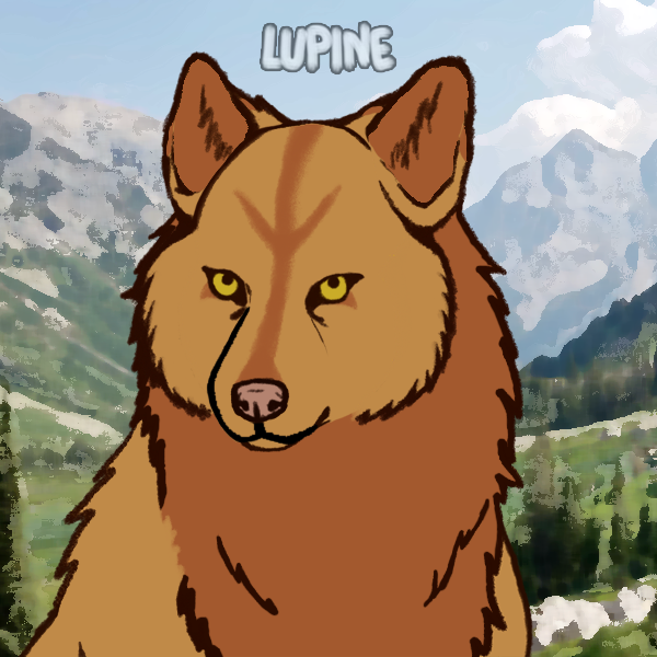 49BFA4ED-C1C3-449B-BA8C-D3767182BEC0