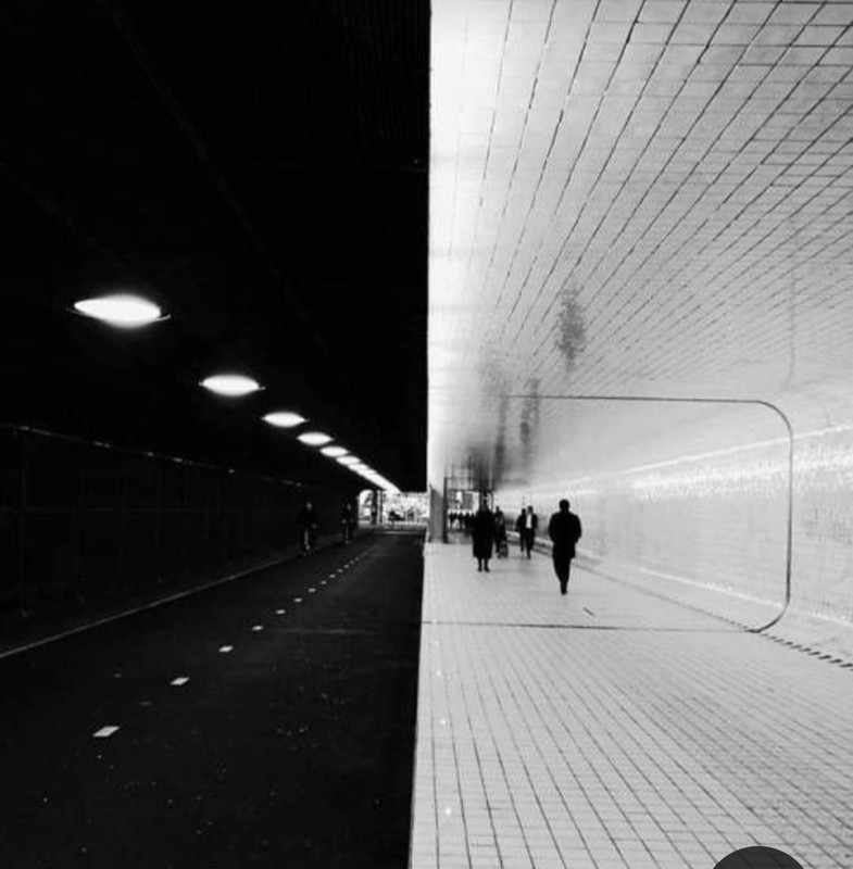 Screenshot_20231008_203458_Pinterest