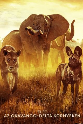 Surviving-Paradise-A-Family-Tale.jpg