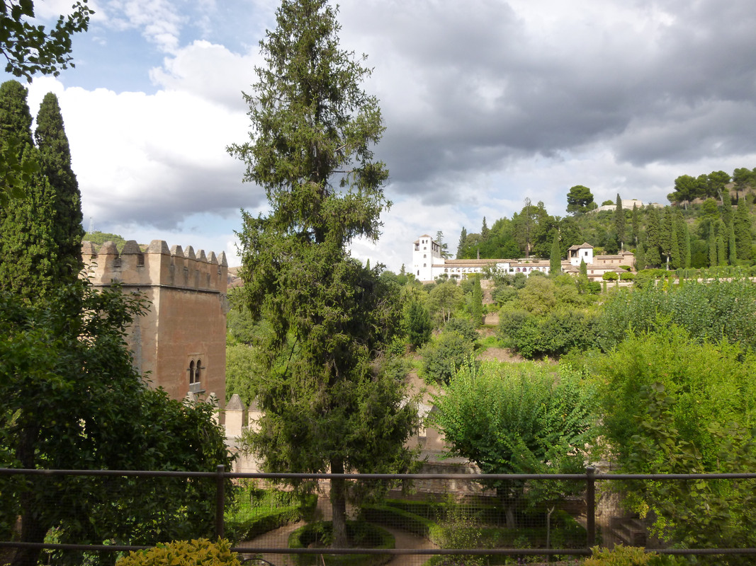 The foreground is dominated by gardens, and particularly a pine tree about a third of the way in from the left.  In the background is a white multi-storey building, which is the generalife.