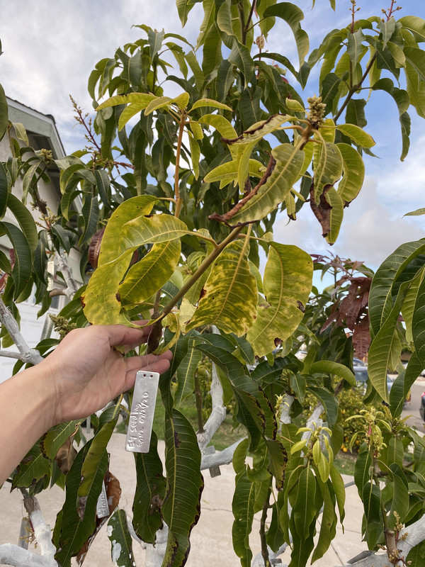 0BAD9813-FB58-4CA4-9977-F8A7C1587682