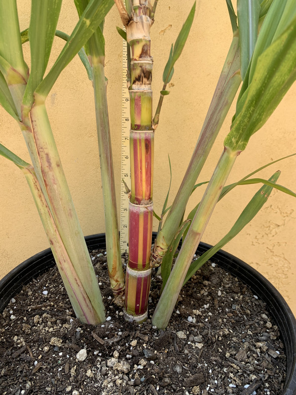 99FD37F2-0EC2-4246-BF55-404AAAC51ACA