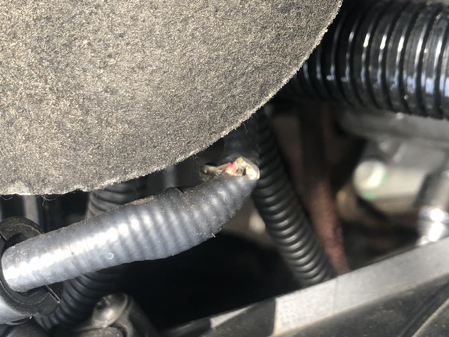 60DCB838-2C30-40CF-9B72-FFC992573A5C