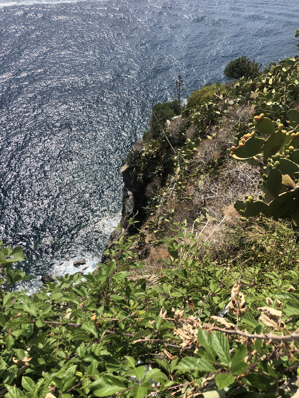 EB8A6F69-66E9-4CBB-80CE-2EEFE89E8FCD