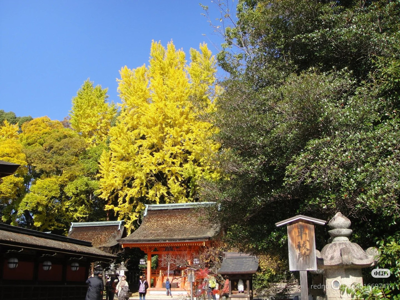 photo 21 2025 12 14 22 29 25