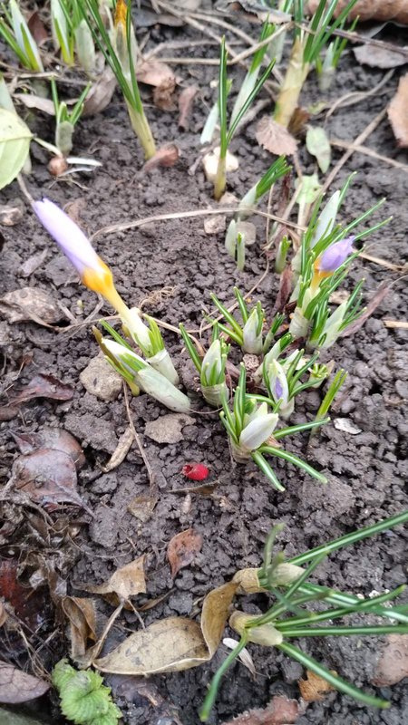 изображение_viber_2025-01-30_14-41-43-764