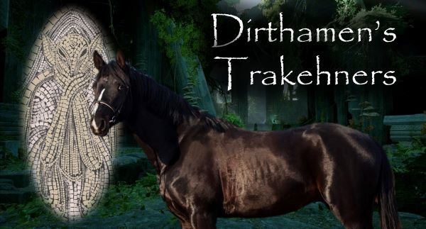 Dirthamen-s-Trakehners-600w