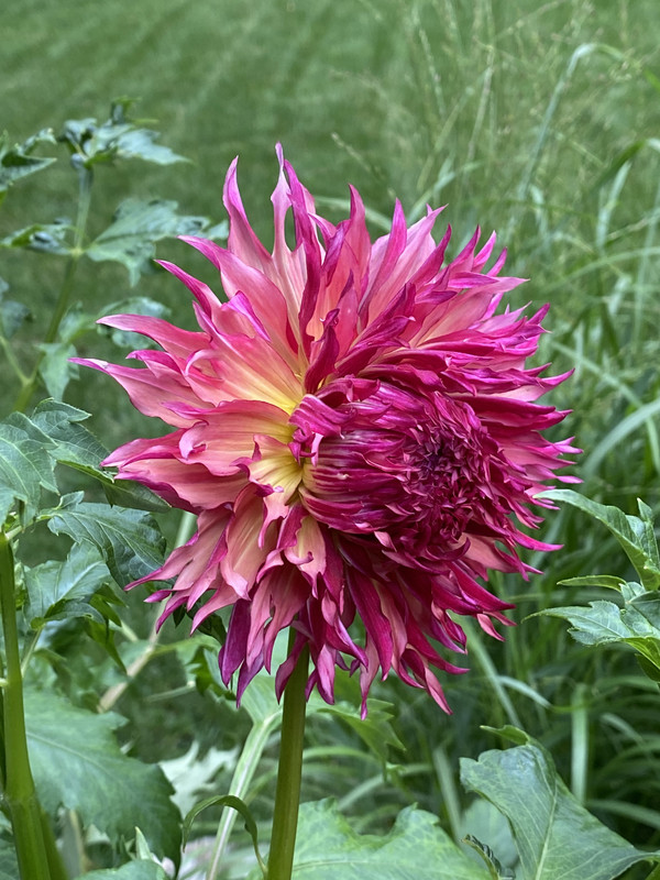 78DB7823-3012-48B7-999E-34A616F2E795