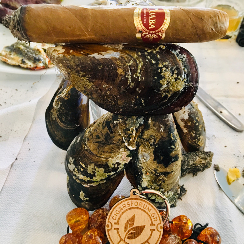 2F121C80-2B33-4ACD-AD9E-E11A404F38F4