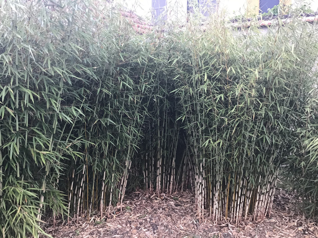 6B06957C-5AEA-4472-97F7-72C9361DB48C