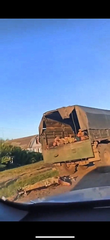 photo_2024-08-09_09-46-17 (2)