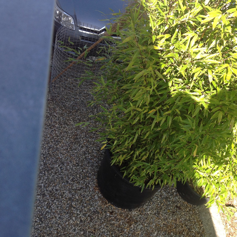 Situationsbild   Sicht vom Dach 2015 (6)