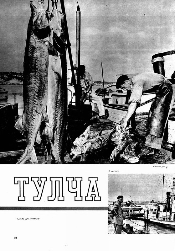 People's Romania (32)