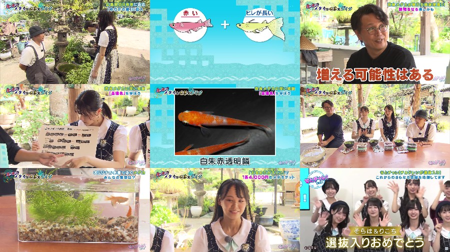 せとチャレ！STU48 ep249
