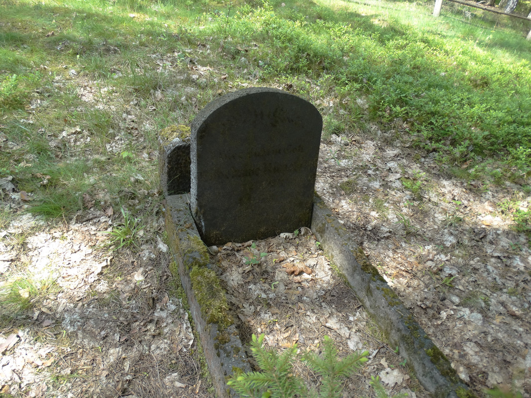 09 - DSC04084 (Czesio1)