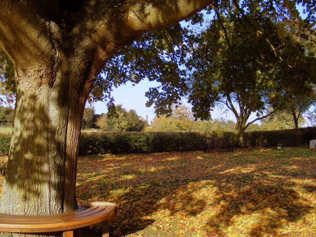 DSCF0561.jpg