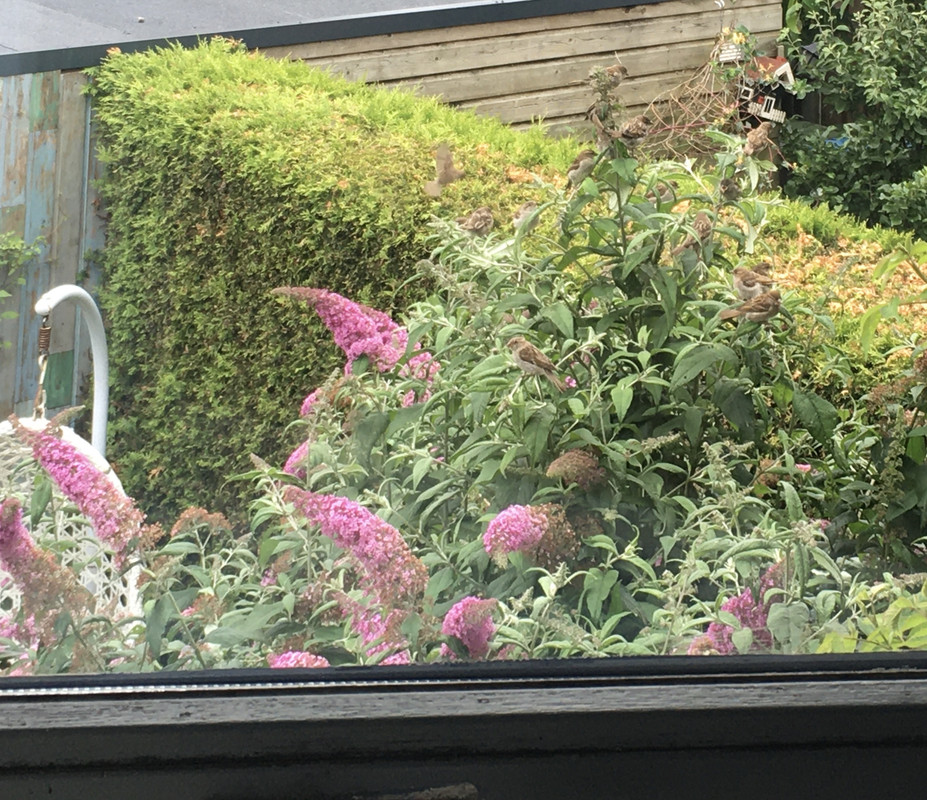 3CB3F0E3-4F47-412A-AEDC-72FCF448FE96