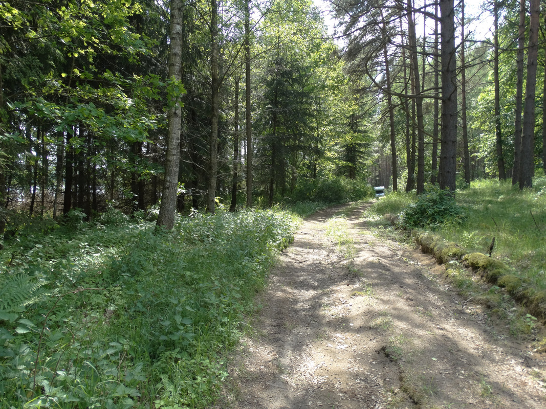 22 - DSC04111 (Czesio1)