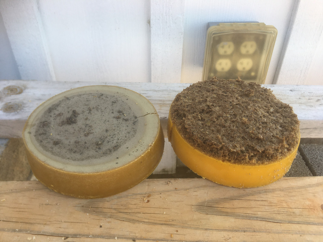 42E7612E-7DFF-4773-9058-9F2D9C232FF6