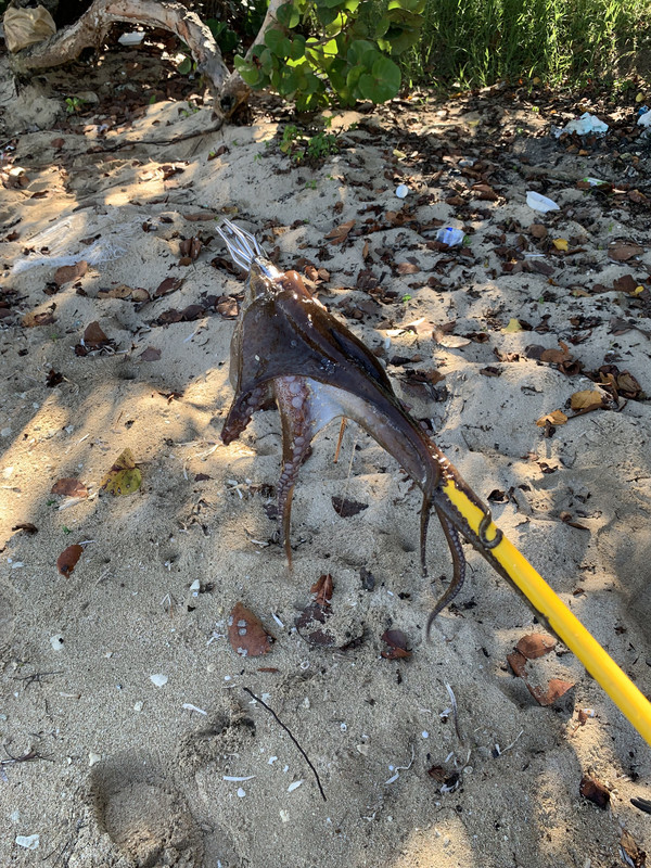 98DE48F4-DF58-4616-AA8D-BF23142C7908