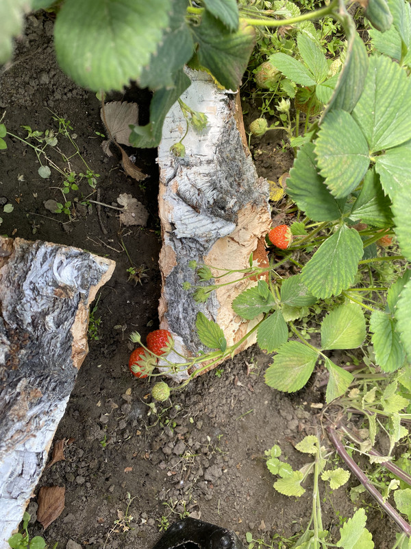 958BC614-53BF-4CE6-B07F-2283D7CF4284