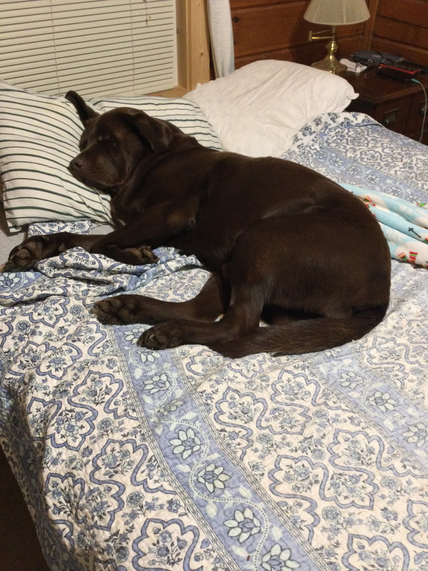 AE194743-489D-4A7A-A537-2C335533C352