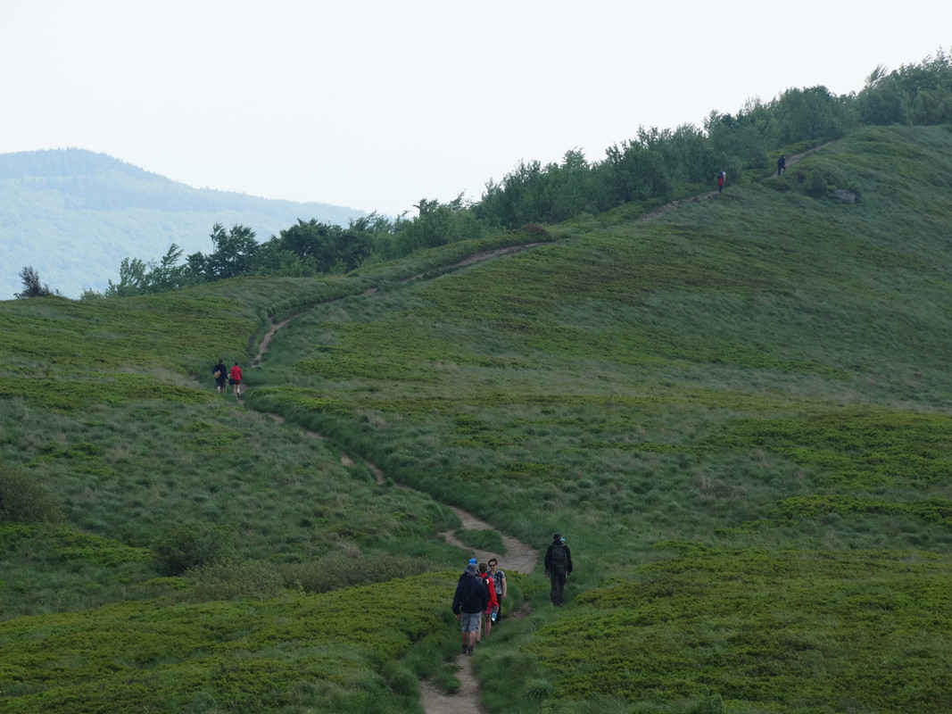 030 - DSC00848 (Ace79)