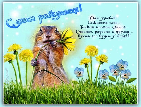 поздравление с Д?