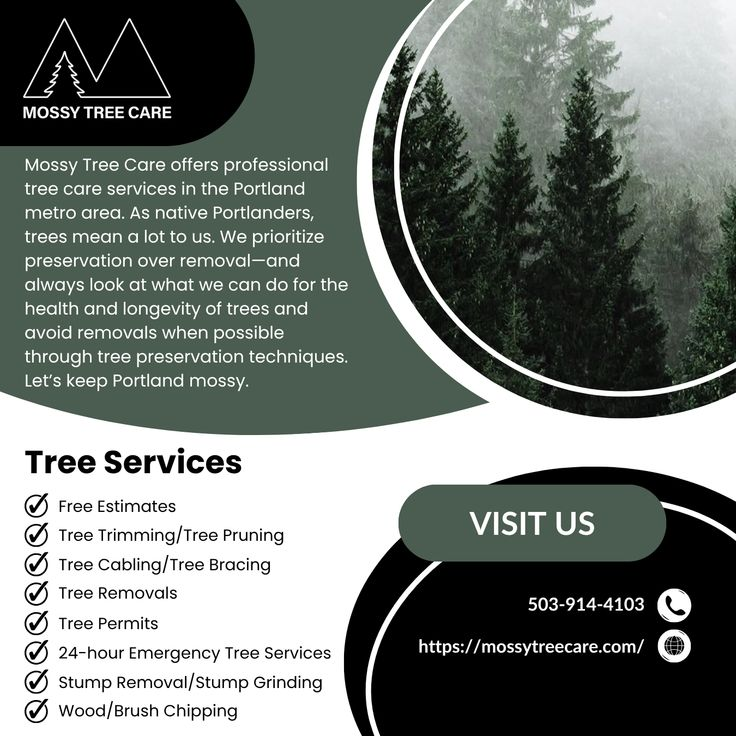 Mossy Tree Care