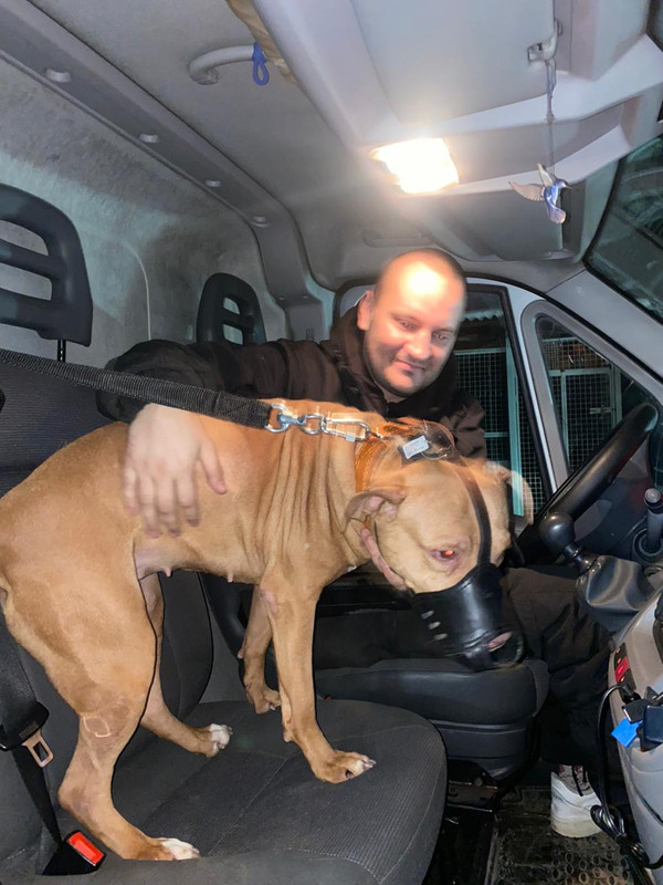 E34F0DDD-EFD0-4E3F-B2A7-FCE059C99257