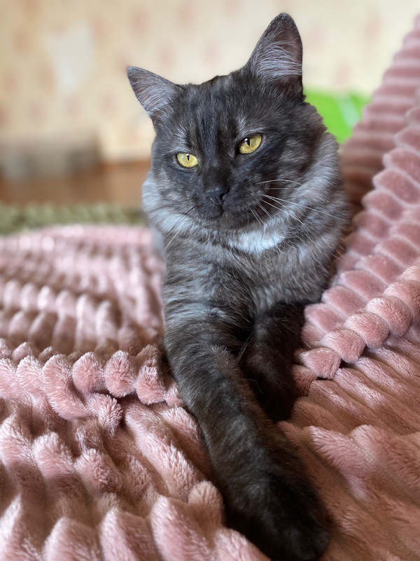 image-11-06-23-09-24-23