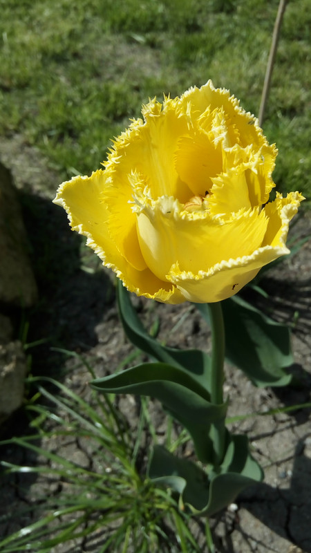 IMG_20190421_145450